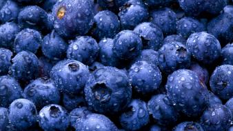 Berries fruits nature wallpaper
