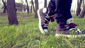 Converse all star grass nature shoes wallpaper