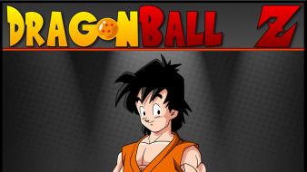 Dragon ball z teen wallpaper
