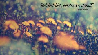 Edited funny nature quotes satire wallpaper