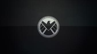 Shield agency hawk wallpaper