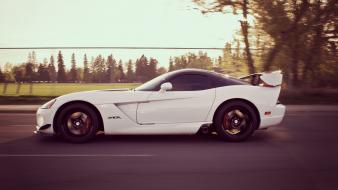 American cars dodge viper supercars trees tuning wallpaper