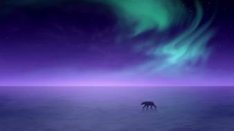 Arctic aura polar bears wallpaper