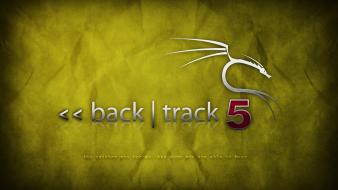Backtrack 5 yellow wallpaper
