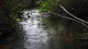 Calm creek forests mountains outdoors wallpaper