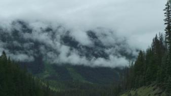 Calm forests mountains outdoors relaxing wallpaper