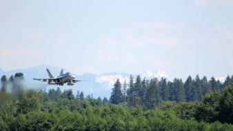 Cf18 f18 hornet rcaf air force fighters wallpaper