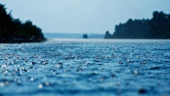 Depth of field glass nature rain water drops wallpaper