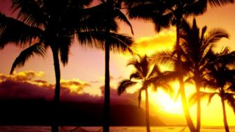Hawaii afternoon beaches kauai landscapes wallpaper
