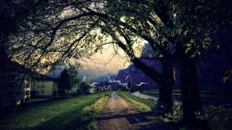 Landscapes mountains paths trees wallpaper