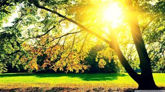 Autumn landscapes nature sunrise trees wallpaper