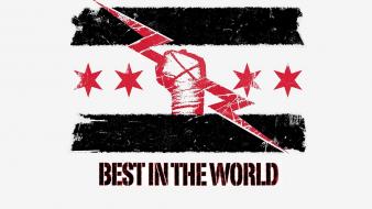 Entertainment logos cm punk best in the wallpaper