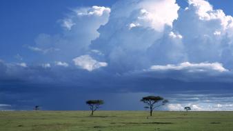 Landscapes storm national mara africa kenya savanna wallpaper