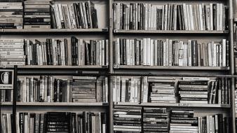 Library books interior shelf wallpaper