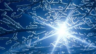 Nature winter spring (season) wallpaper