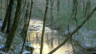 Nature winter tennessee creek wallpaper