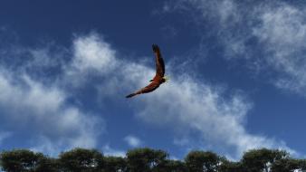 Clouds trees eagles birds wallpaper
