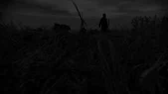 Dayz wallpaper