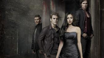 Elena gilbert paul wesley stefan salvatore damon wallpaper