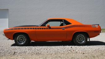Muscle cars usa plymouth barracuda classic widescreen cuda wallpaper
