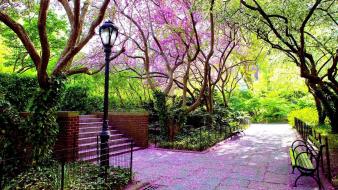 Nature flowers chairs wallpaper