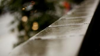 Rain bokeh depth of field wallpaper