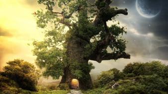 Trees moon fantasy art wallpaper