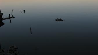 Water trees dark wood boats sunny wallpaper