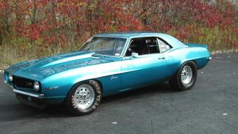 Chevrolet 1969 camaro wallpaper