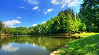 Forest lakes wallpaper
