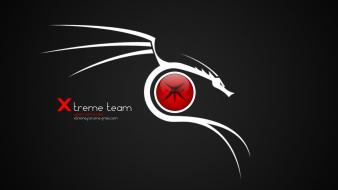 Game xtreme team urban terror wallpaper