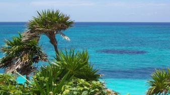 Landscapes nature trees skyscapes sea wallpaper