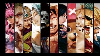 Tony chopper brook monkey d luffy nami wallpaper