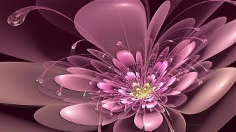 Abstract flowers deviantart digital art june wallpaper