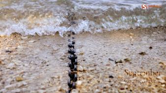 Beach text stones chains september smashing magazine sea wallpaper