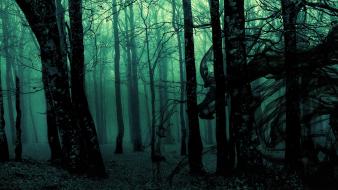 Black trees dark fortress shadows albums sun empire wallpaper