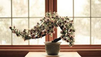 Flowers bonsai culture wallpaper