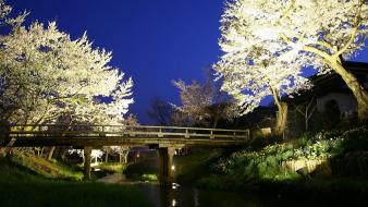 Flowers bridges spring (season) streams flowered trees wallpaper