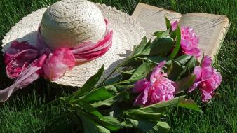 Flowers pink grass hats wallpaper
