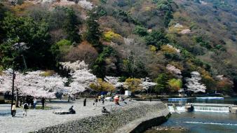 Flowers spring (season) boats lakes flowered trees wallpaper