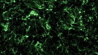 Green abstract dark wallpaper