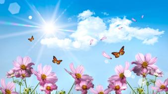 Nature surrealism