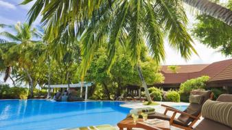 Relax palm trees spa wallpaper