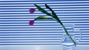 Tulips still life mini blinds wallpaper