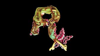 Zombies rockstar games logos limbs wallpaper