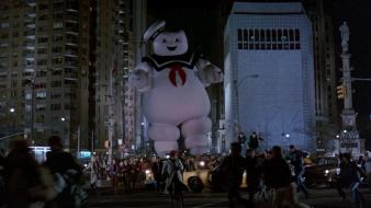 Ghostbusters wallpaper