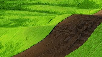 Landscapes fields windows 8 wallpaper
