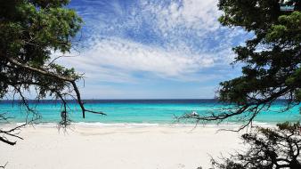Nature beach sand trees sea wallpaper