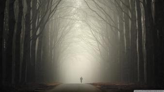 Nature trees autumn (season) alone roads wallpaper