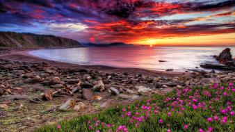 Water sunset clouds flowers rocks scenic skies